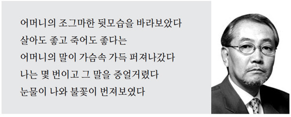 [허연의 책과 지성] 미야모토 데루 (1947~)