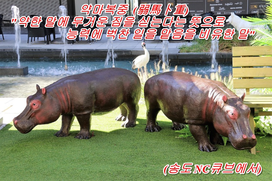 약마복중  (弱馬卜重)