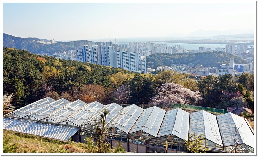 부산 구봉산~엄광산~구덕산~승학산 등산코스