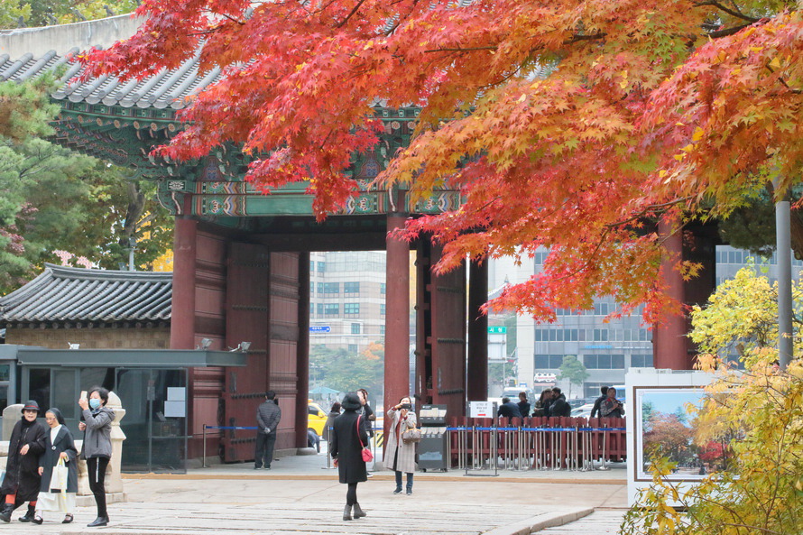 덕수궁의 가을색