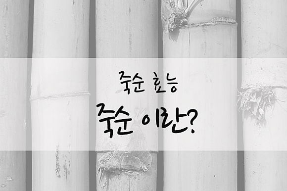 건강에 좋은 죽순 효능