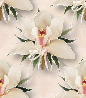 【 배경 GIF 움짤이미지 】