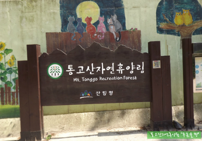 통고산자연휴양림 이미지
