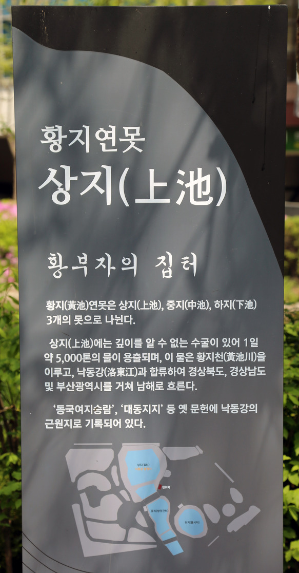 황지 이미지