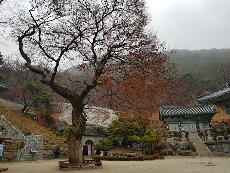 파발회 송년 모임(2018년12월2일)