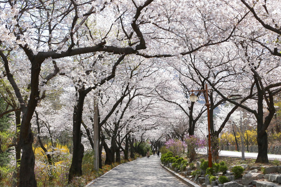 앞산 공원 답사