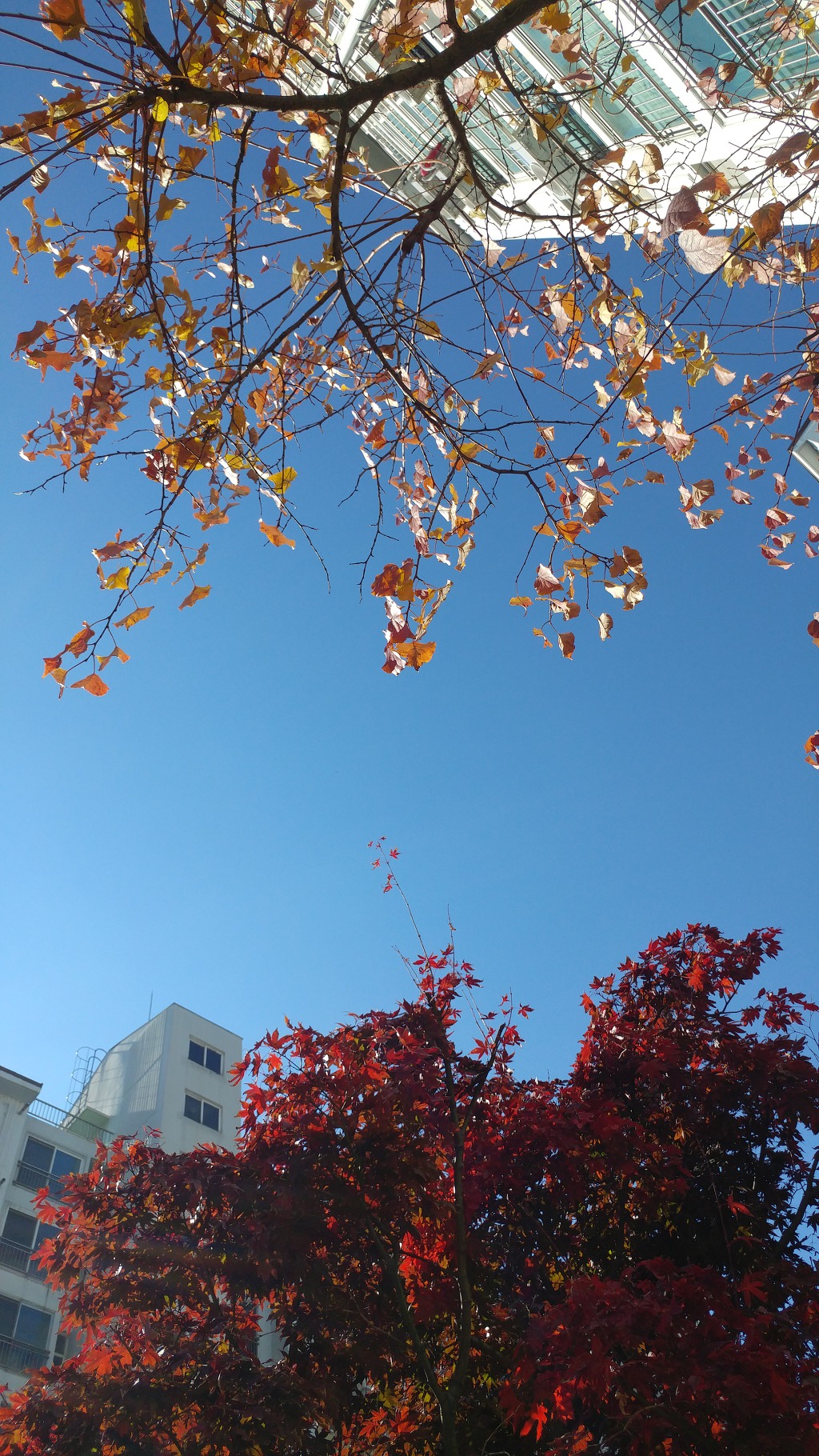 개울 이미지