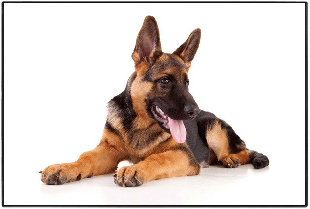 자신감 일수 서울 강남 최고야