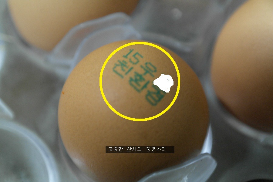 살충제 검출, 계란에 표시된 식별번호 뭐지?