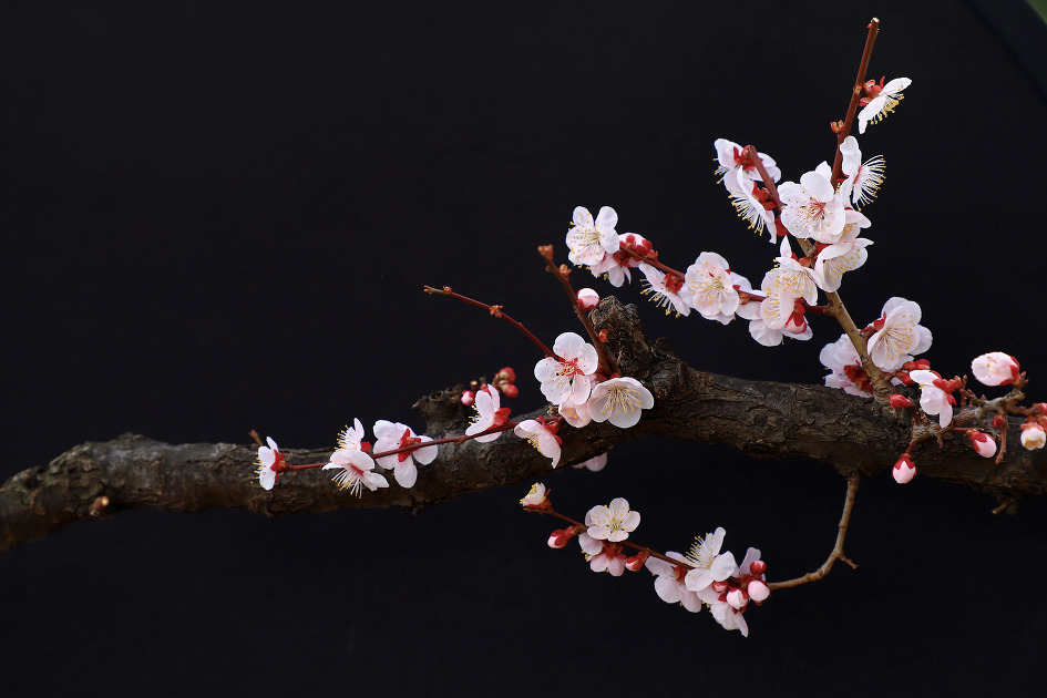 암중화 (김해건설공고. 2019.03.06.수)