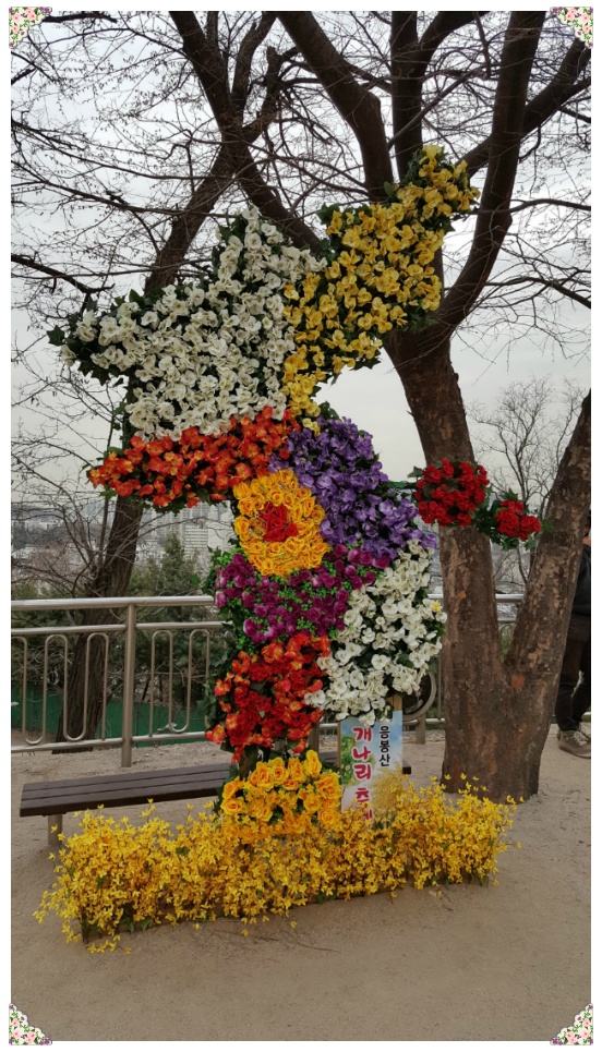 봄 나들이 다녀오다..[응봉산과 서울숲]