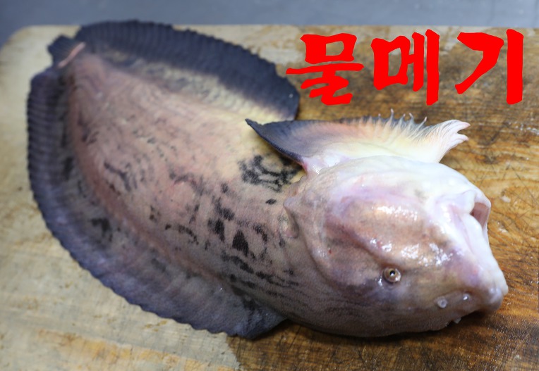 맛집추천[물메기]거제선어횟집 010.5029.6668 부산시 서구 충무시장길39(충무동1가)