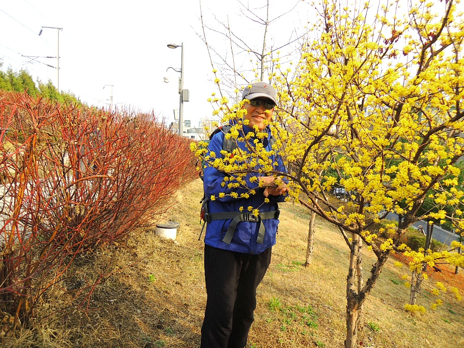 인왕산->안산->홍제천->경의선 숲길