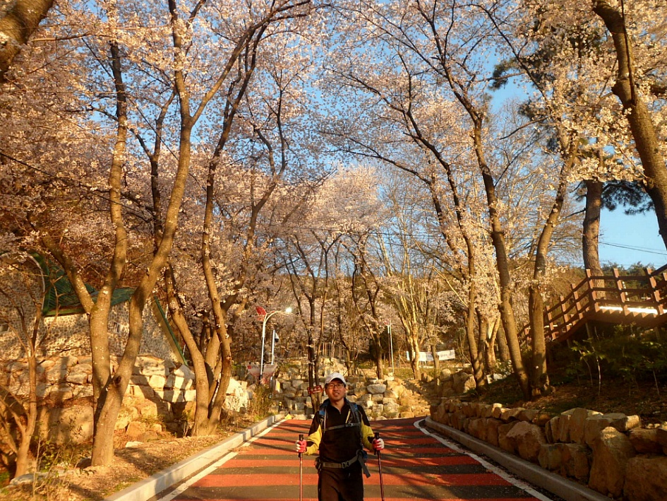 창녕 영취산 2019-03-31