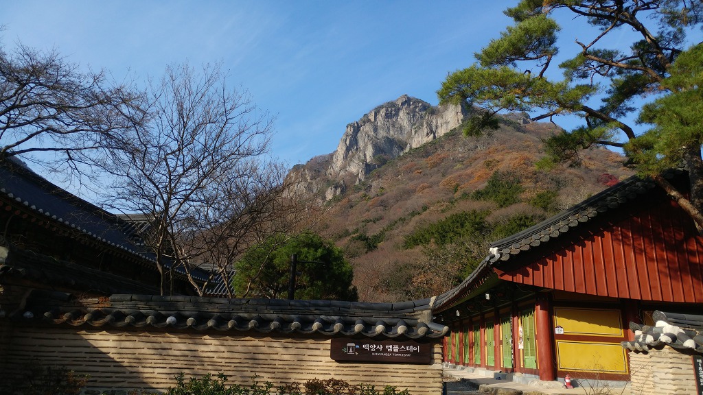백양사