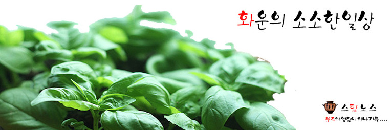 올해도 허브 농사 시작