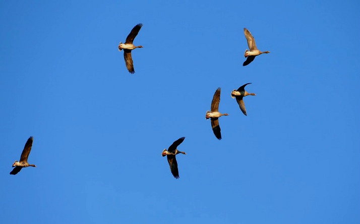 99C4013D5DF4F070285893