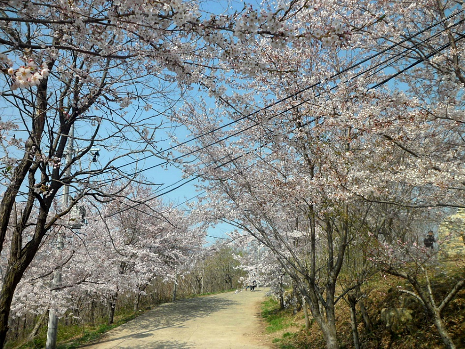 문수산 2019-04-06