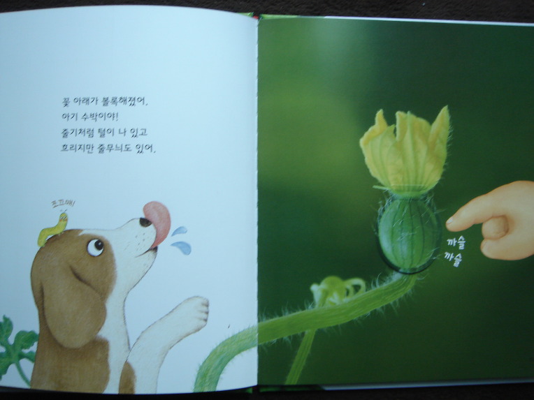 그레이트북스놀라운자연, 자연학습장이네요.놀라운자연 입니다.