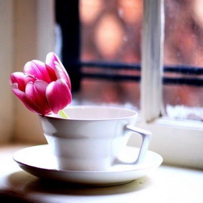 99EF6A355B99A458130ACB