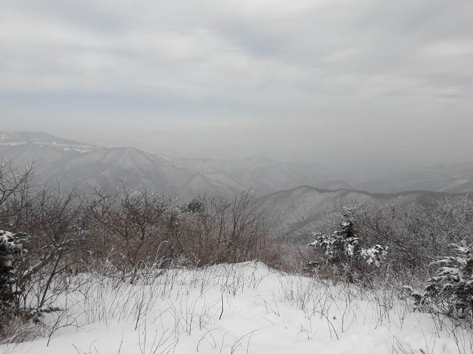 태백산족발 이미지