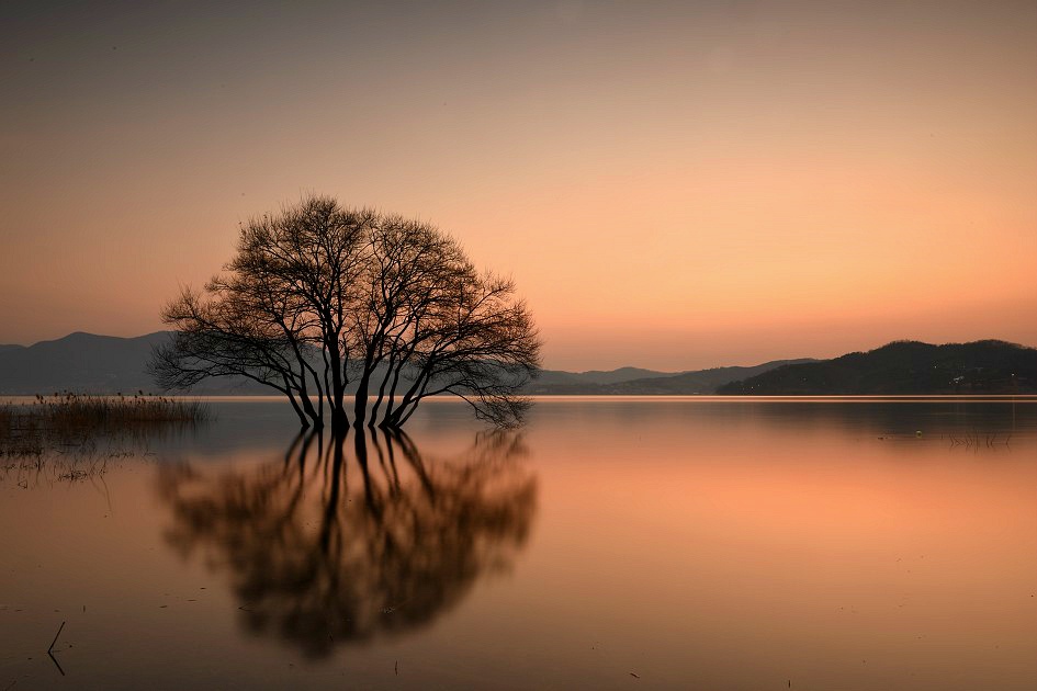 수섬