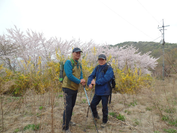 1045- 慶州 南山 고위봉(高位峯:494m)을 다녀왔어요.