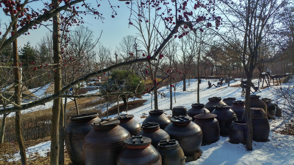 눈온후에 에코랜드