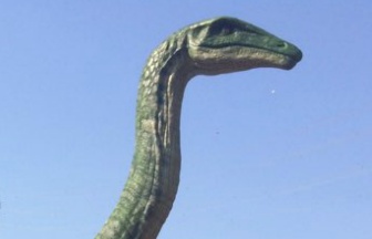 베두인